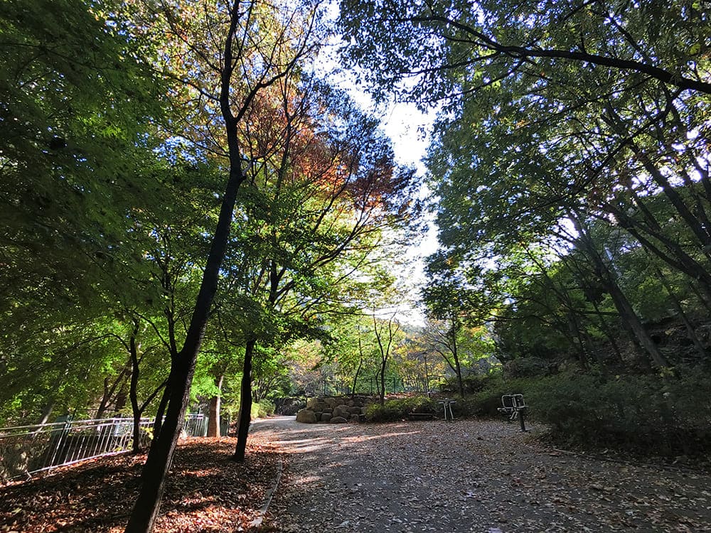 前山公園 앞산공원